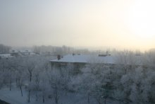 Зима библиотеки 2011